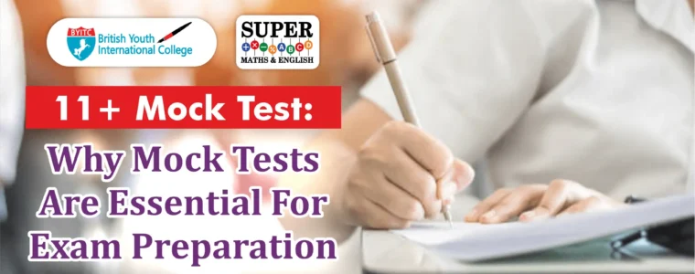 11 Plus mock test